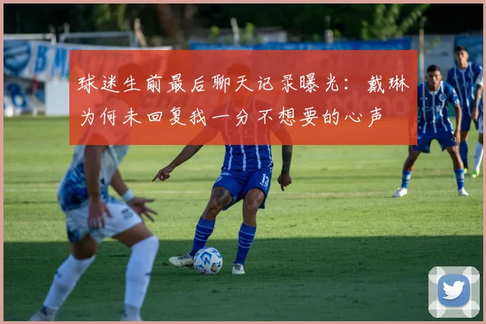 球迷生前最后聊天记录曝光：戴琳为何未回复我一分不想要的心声