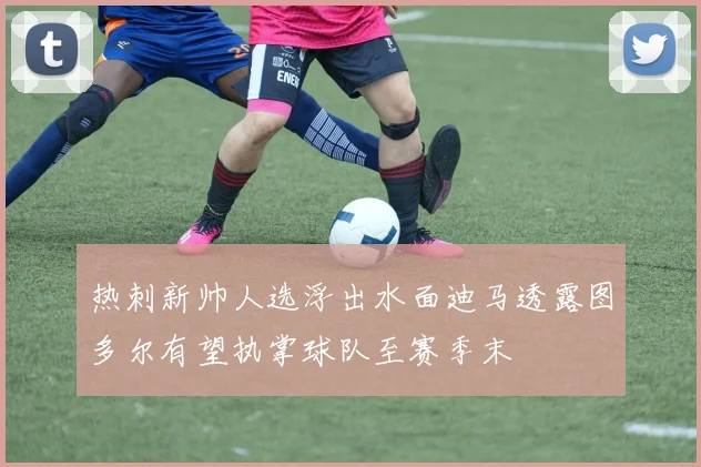 热刺新帅人选浮出水面迪马透露图多尔有望执掌球队至赛季末